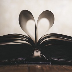 Thumbnail do Post LIVRO PARA UM? LIVRO PARA TODOS!